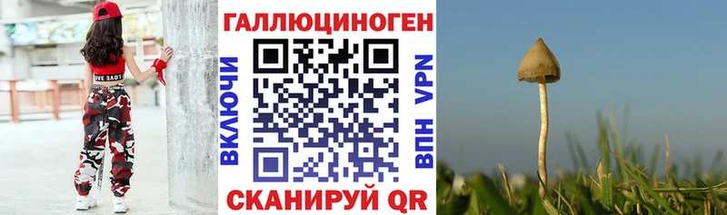 Галлюциногенные грибы MAGIC MUSHROOMS Купить Абакан